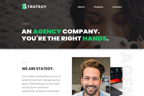 Strategy Free email template from MailWizz