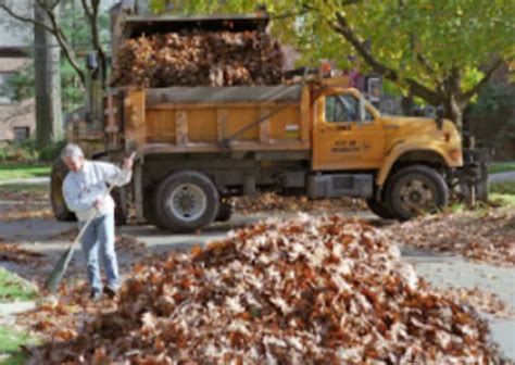 Stratford’s leaf collection to resume in April AP News