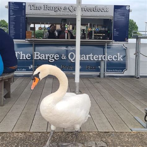 Stratford upon Avon Beer & Cider Festival - 10times