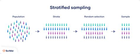 Stratified random sampling.  In a stratified sample, researchers divide a ...