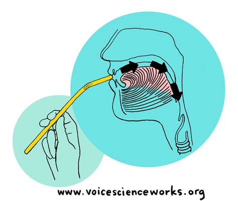 Straw phonation exercises pdf. This reduces the pressure and uses the air to exhale more through it. Web resources: Ingo Titze (straw phonation) – ... 1) Exercises/speech therapy can help us ... 