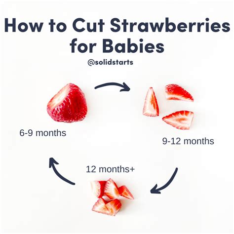 Strawberry - Solid Starts - First Foods for Babies