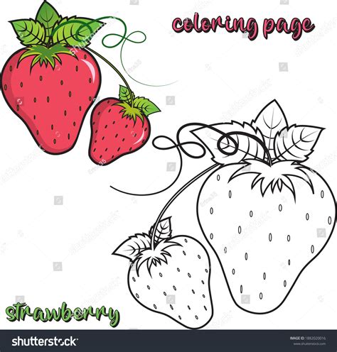 Strawberry Coloring Shee