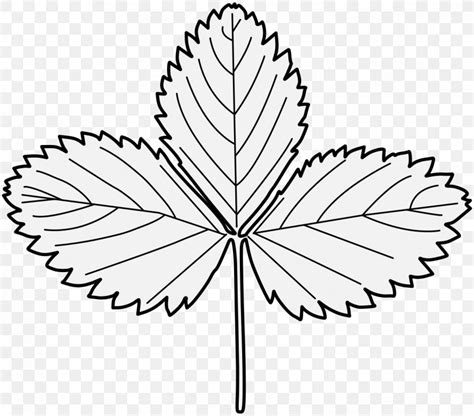 Strawberry Leaf Drawing