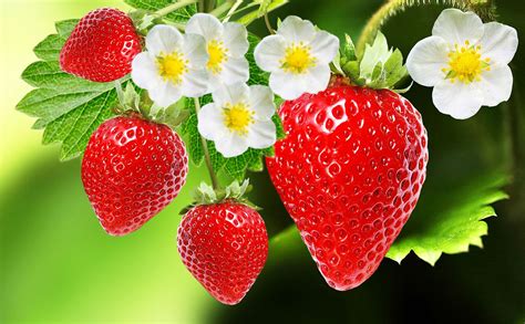 Strawberry Tabbi Onlyfans Leak