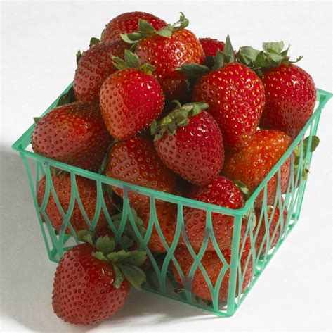 Strawberry basket. Berri Basket White Hyrbid strawberries are ready in 85 days. Strawberry variety is well suited for baskets. Hardy to zone 5, the ever-bearing, runnerless, compact and bushy plants bear large, deep red, full-flavored berries until the first frost. Pick fruit as it ripens conveniently from baskets. 