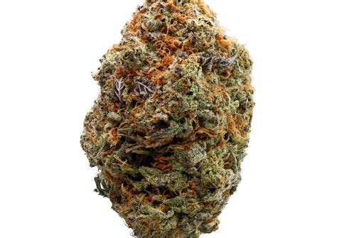 THC: 16% - 19%. Strawberry Fruit Bound is a rare evenly balanced hybrid strain (50% indica/50% sativa) created through crossing the infamous Kyle Kushman Cut of Strawberry Cough X Fruit Bound. With parents like these, you know that you're in for one delicious ride with Strawberry Fruit Bound. This bud has a super delicious …. 
