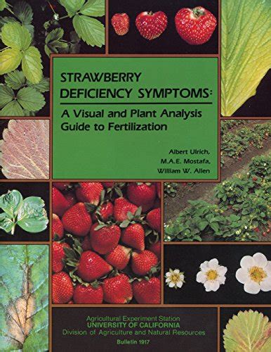 Strawberry deficiency symptoms a visual and plant analysis guide to fertilization. - Manual para empacadora new holland 270.