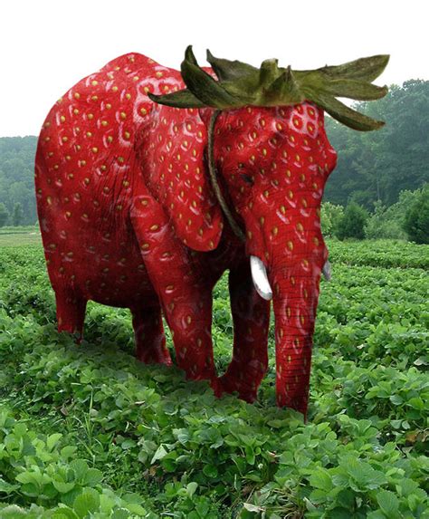 Strawberry elephant. Strawberry ice cream is a classic dessert that’s loved by many. But did you know that strawberries and ice cream can actually be good for your health? Here are some reasons why: St... 