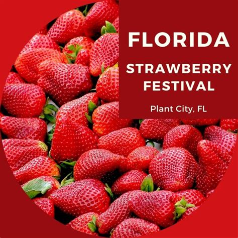 Strawberry festival plant. Things To Know About Strawberry festival plant. 