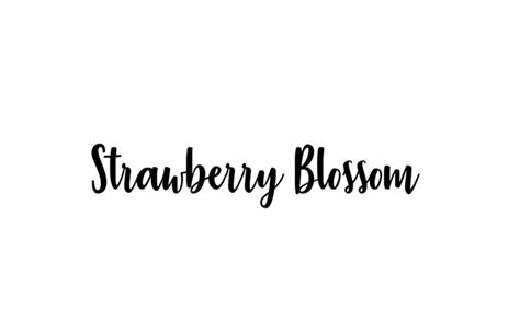 Strawberry flower font.  The family includes the primary script font as well as a complement...