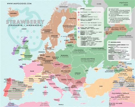 Strawberry in different languages in Europe. by... Maps on the Web