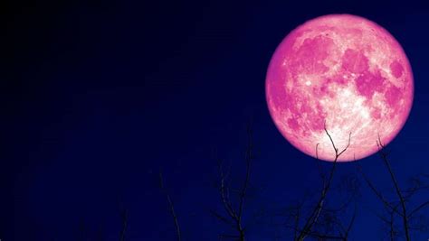 Strawberry moon illuminates the sky this weekend