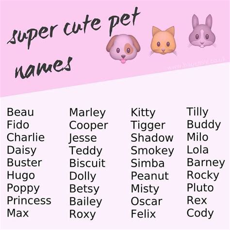 Strawberry names for pets. Rampage Ruler. Absodevastur. Dirty Blouses. Diabolical. Havorc. Dear Agony. Lucky Lucy. Check the full list of funny warrior cat names. We hope you enjoyed our list of the best warrior cat names for your new kitten. 