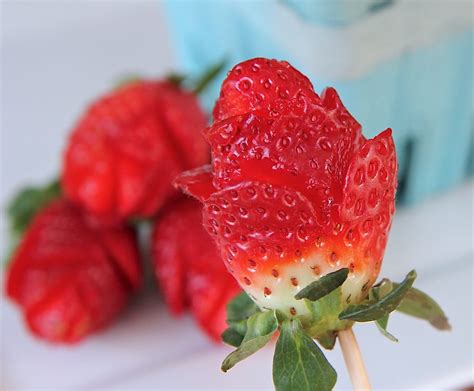 Strawberry rose. Learn how to make strawberry roses in 2 minutes with fresh strawberries, lollipop sticks or plastic rose stems. A simple and easy dessert for any occasion, perfect for fruit platters, bridal showers or … 