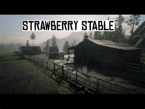 Strawberry stables rdr2. Strawberry is a settlement in Red Dead Redemption 2 and Red Dead Online in the Big Valley region of the State of West Elizabeth. 