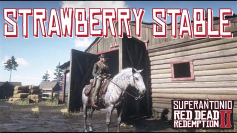 scarlett meadows stable in chapter 3. I would just make due with the white Arabian until you get to chapter 4 where you can get the champagne Fox Trotter, gold Turkoman, or black Arabian. Unless you're planning on sticking around Chapter 3 for a long while. You might also consider the Ardennes at Scarlett Meadow or the Andalusian at Strawberry.. Strawberry stables rdr2