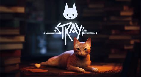 Stray Cat Game APK: Panduan Komprehensif untuk Pengalaman Gaming yang Menyenangkan