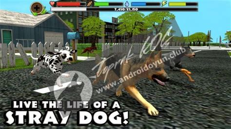 Stray Dog Simulator v1.4 FULL APK ANDROID OYUN CLUB.