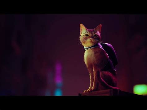 Stray Lists New Release Date On PlayStation Network Database