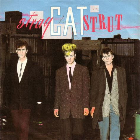 Stray cat strut. Things To Know About Stray cat strut. 