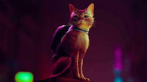 Stray how to meow on PC and console The Loadout