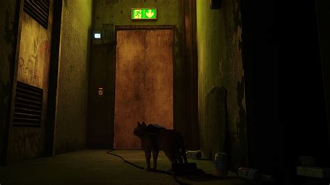 Stray the flat door keycode solution how to get out The Loadout