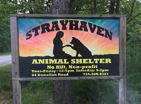 Strayhaven Animal Shelter Greenville, PA Location Address 94 Donation Rd. Greenville, PA 16125. Get directions strayhavenanimalshelter@yahoo.com (724) 588-6161. Today's hours: 12-5 day hours; Monday: Closed to the public : Tuesday: 12-5: Wednesday ....