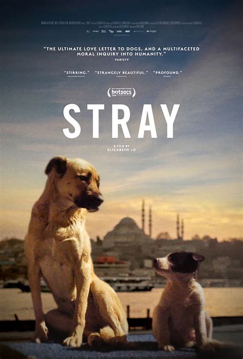 Strays dog movie. Feb 8, 2023 · STRAYS Trailer (2023) Jamie Foxx, Will Ferrell, Isla Fisher, Dogs© 2023 - Universal Pictures 