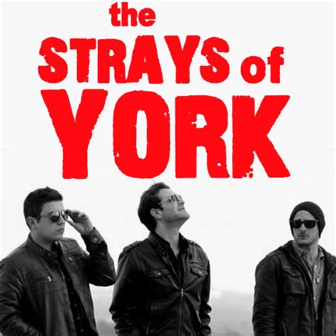 Strays of York