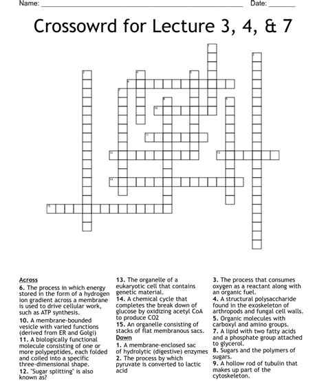 Streamed lectures crossword. The crossword clue University lectures with 7 letters was last seen on the December 22, 2023. We found 20 possible solutions for this clue. We found 20 possible solutions for this clue. We think the likely answer to this clue is LESSONS. 