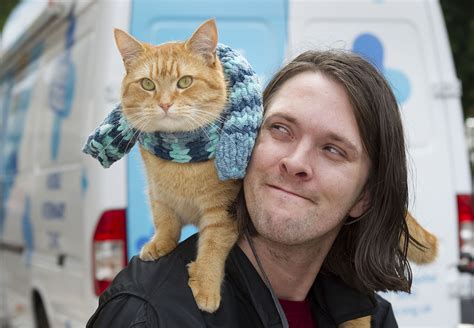 Street cat bob. Street musician James Bowen and his loyal ginger Tom cat, Bob, found each other in 2007 when their lives were at a low ebb. Their story is told in the book A Street Cat Named Bob 