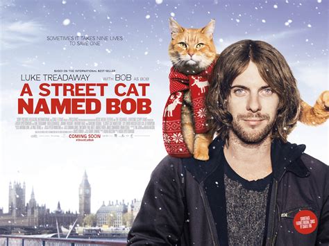 A Street Cat Named Bob. Based on the international bestselling book. The true feel good story of how James Bowen, a busker and recovering drug addict, had his life transformed when he met a stray ginger cat. Rentals include 30 days to start watching this video and 48 hours to finish once started. Based on the international bestselling book.