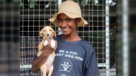 Street dog hero. Things To Know About Street dog hero. 
