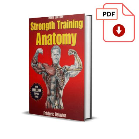 Strength Training Anatomy 3rd Edition Download