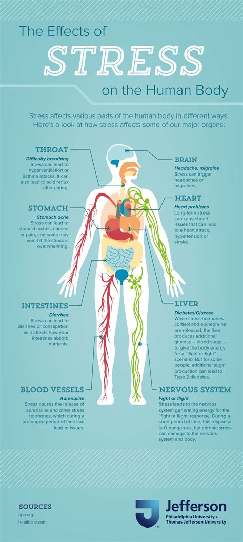 Stress and Your Body - amazon.com