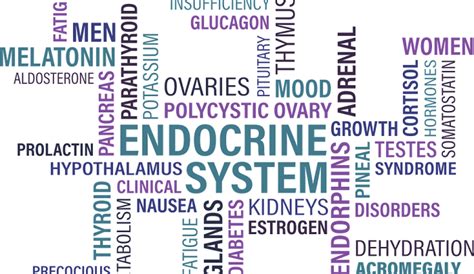 Stressor Spotlight: Hormonal/Endocrine System - zyto.com