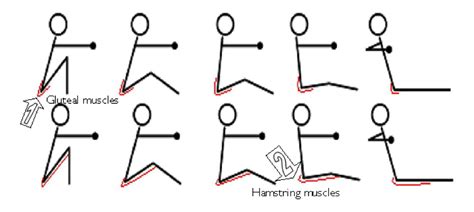 Stretches for Rowers - Renwick Sports Physiotherapy