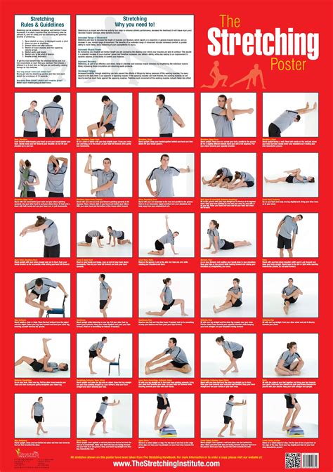 Stretching Exercises Chart
