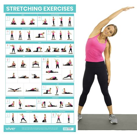Stretching exercises workout. Things To Know About Stretching exercises workout. 
