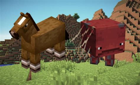 Strider vs horse in Minecraft How different are the two mobs 