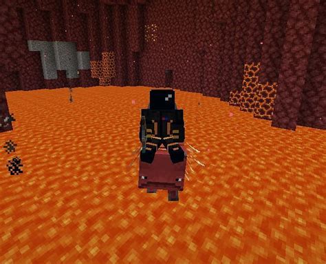 Striders in Minecraft Behavor Spawn Drops