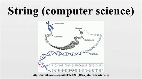 String Computer Science Wikipedia