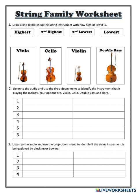 String Family Worksheet Teaching Resources TPT