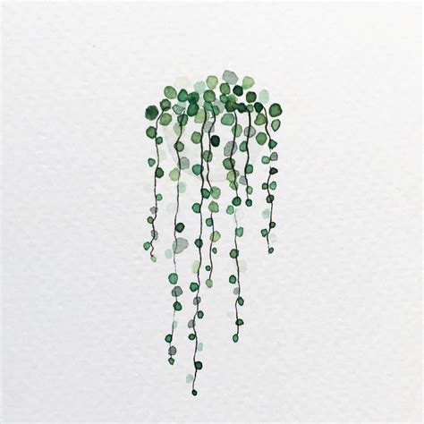 String Of Pearls Drawing