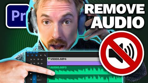 This tutorial video will show you step by step how to remove sound (