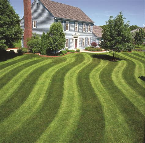 Striped lawn. This crucial first step helps set a straight line parallel to your yard’s edge, creating a neat frame for your mowing stripes. Most people who are striping a lawn for the first time, will start in the centre. This isn’t the best idea. Defining the borders of your lawn gives you a visual reference to help keep your stripes straight. 