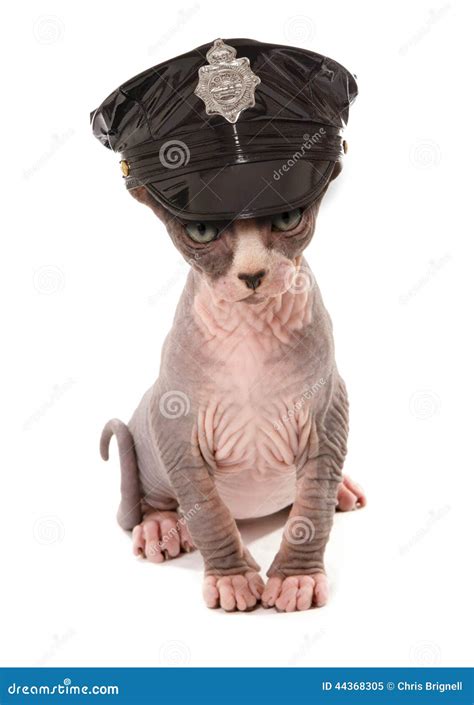 Stripper_Kitten Leaks 🔥 [PPV]