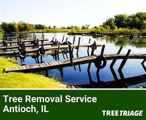 Stritar Construction and Tree Services - Antioch, IL