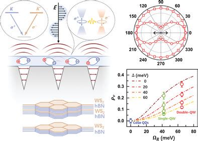 Strong Linearly Polarized Emission from Monolayer WS